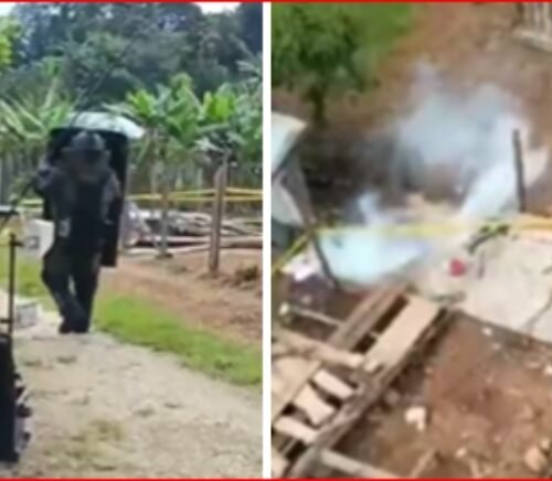 17 artefactos explosivos que pertenecerían alias Calarcá, hallados en una casa en Caquetá