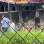 Escalofriante hallazgo de 2 cabezas humanas en el sector Paso del Comercio, en Cali