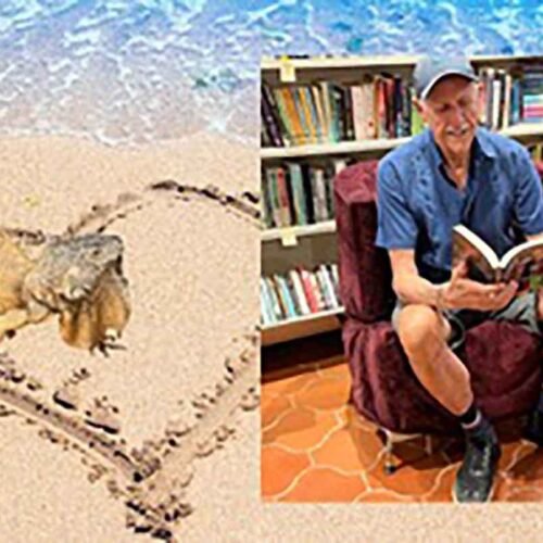 Vincent Traughber Meis presenta una intensa historia de identidad, amor y reinvención personal