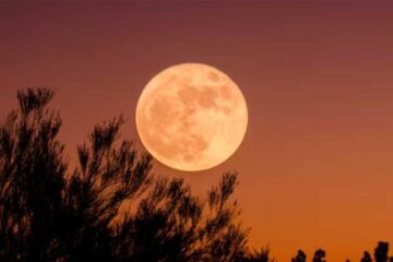 Calendario lunar de abril 2026: la Luna Rosa y otros fenómenos astronómicos