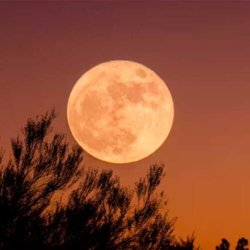 Calendario lunar de abril 2026: la Luna Rosa y otros fenómenos astronómicos