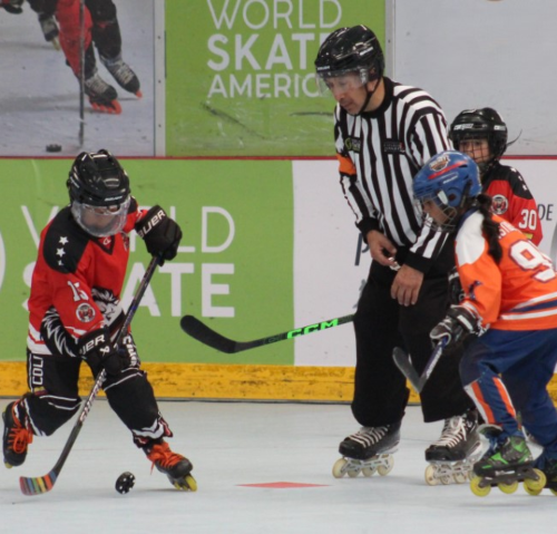 SE DEFINEN LAS FINALES DEL HOCKEY LÍNEA