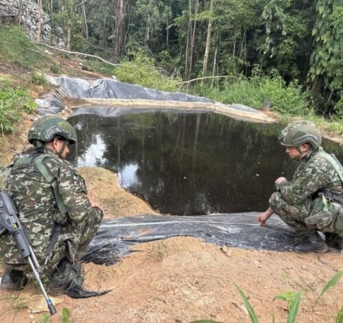 Ejército en Catatumbo afectó economías ilícitas del ELN en más de 2.800 millones de pesos