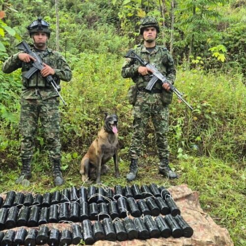 Ejército Nacional neutralizó amenaza terrorista con la destrucción de 100 kilogramos de explosivos en Barbacoas, Nariño