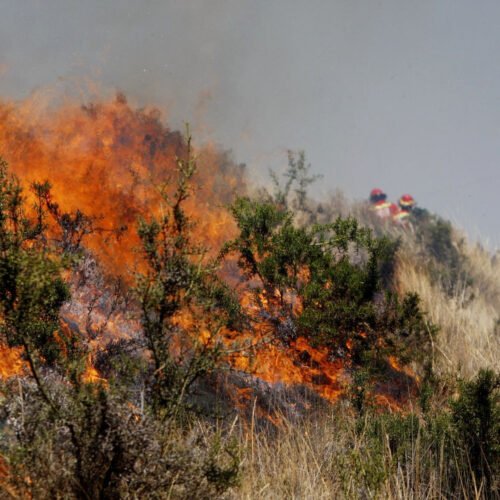 Incendios provocados destruyen las montañas de Linares y Sotomayor, en Nariño