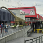 Los tres cortometrajes documentales que se presentaron en la  Climate Week Biodiversity 2026 en Medellín