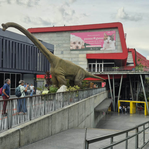 Los tres cortometrajes documentales que se presentaron en la  Climate Week Biodiversity 2026 en Medellín